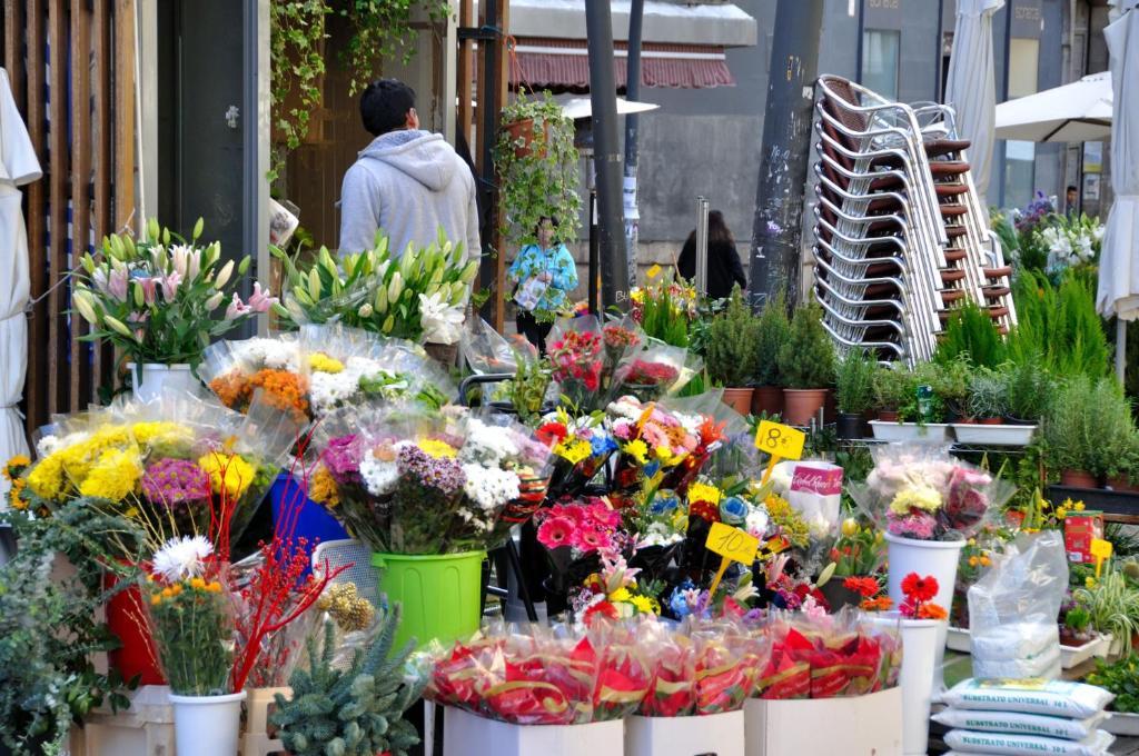 Far Home Plaza Mayor Madrid Bagian luar foto